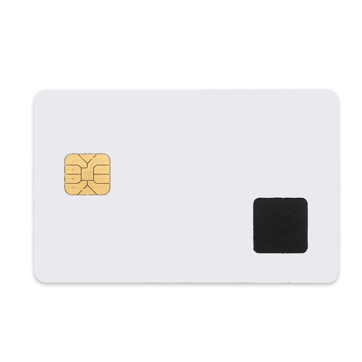 Filename: Blank.webp